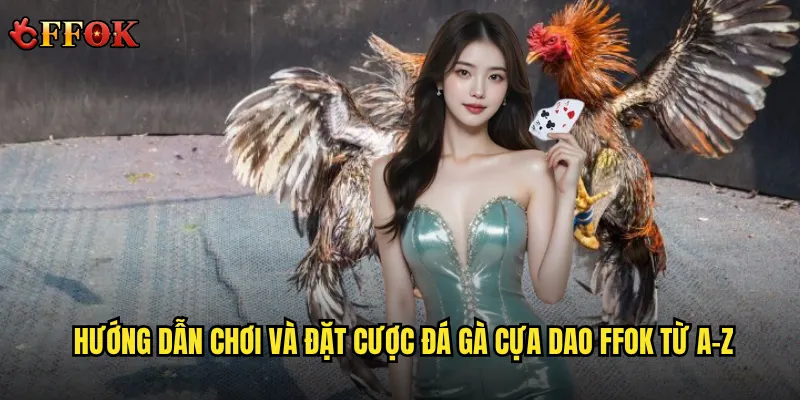 Hướng dẫn chơi và đặt cược đá gà cựa dao ffok từ A-Z